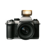 Focus on Lens Logo
